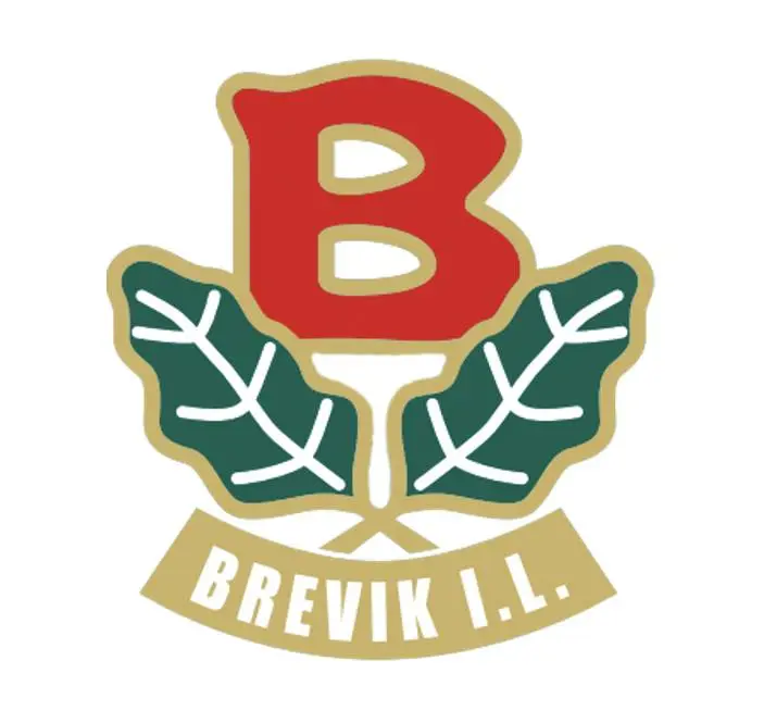 logo bilde Brevik Innebandy