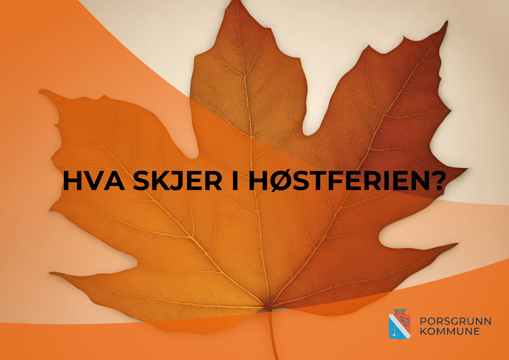 bilde_Hva skjer i høstferien?